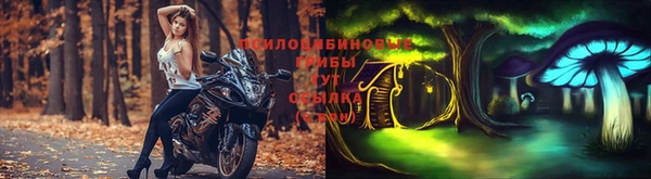 гидропоника Верея