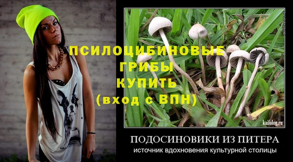 гидропоника Верея
