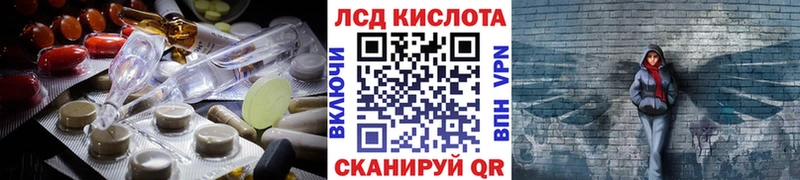 дарнет шоп  Стерлитамак  Лсд 25 экстази кислота 