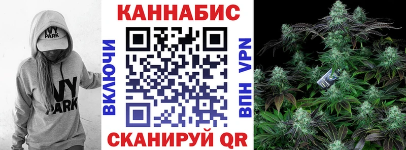 магазин продажи наркотиков  Стерлитамак  Бошки Шишки ГИДРОПОН 
